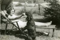 Notre histoire en archives : Les animaux de compagnie sous la lentille